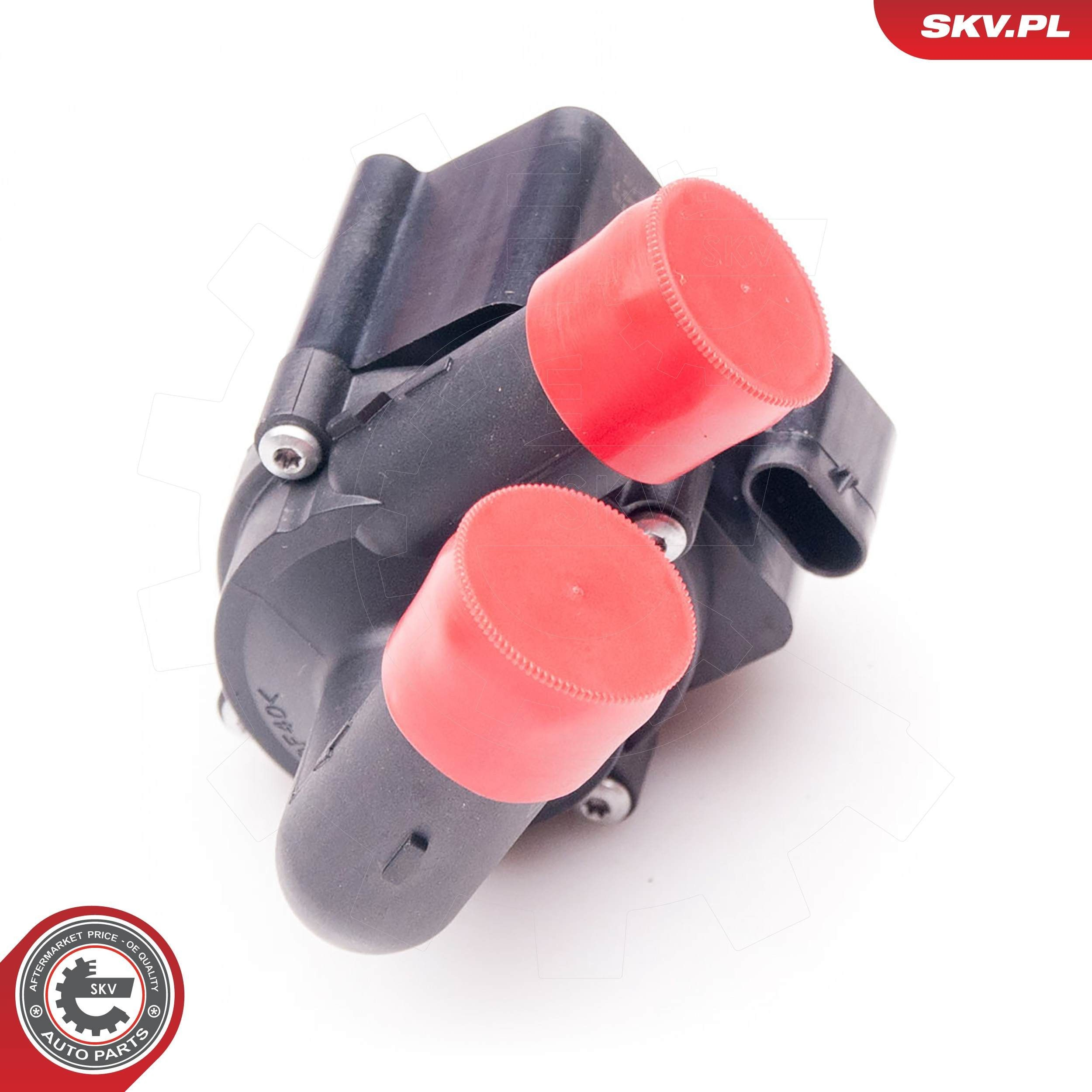 22SKV018 SKV
